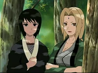 Tsunade and shizune