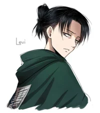 Levi