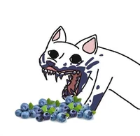 BLUEBERRY CAT