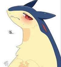 Muffin Da Typhlosion