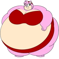 Sumo Amy Rose