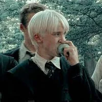 Draco Lucius Malfoy 