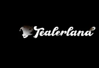 Tealerland Night