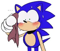 Sonic and fan dares