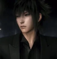 Noctus Lucis