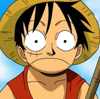Luffy Beginner