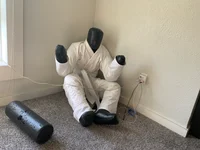 Toy