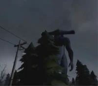 The hammerhead shark