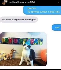Tu gato
