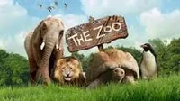 the zoo