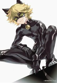 Chat Noir