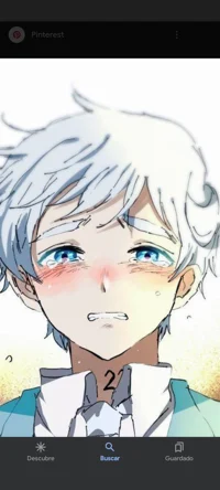 Norman-tpn depresivo