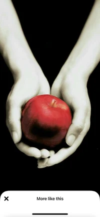 The Twilight Saga RP