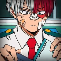 Shoto todoroki 