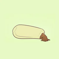 Gassy Burrito