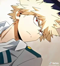 Katsuki Bakugou 