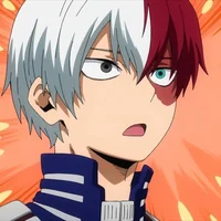 Shoto todoroki 