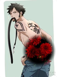 Trafalgar Law