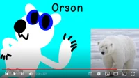 Orson The Polar Bear