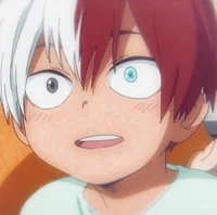 Shoto Todoroki