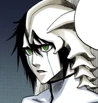 Ulquiorra Schiffer