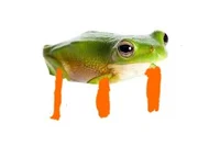 Princess W Froggerto