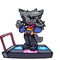 My fluffy kitty kapi