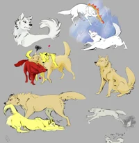 MHA- Dog AU
