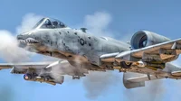 A-10C Warthog pilot