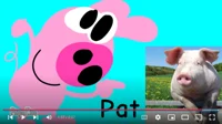Pat Pig 