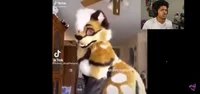 Sayiora The Furry