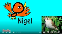 Nigel Nightingale