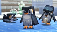 PENGUIN TEAM