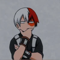 Shoto Todoroki