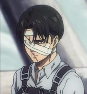 Levi Ackerman 