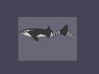 Mosasaurus hofamanni