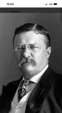 Theodore Roosevelt 