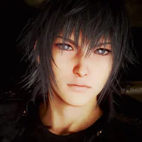 Noctis Lucis Caelum