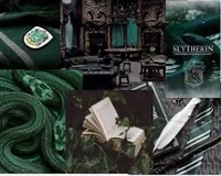 Slytherin boys