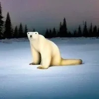 Polar bear 2026