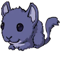Chinchilla