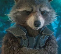 Rocket raccon 