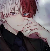 Shoto Todoroki