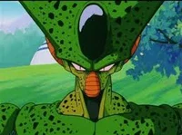 Imperfect Cell