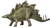 V2 stegosaurus 