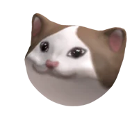 popcat
