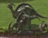 Jp1 parasaurolphus 