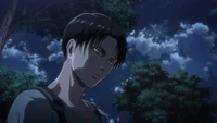 Levi Ackerman