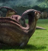 Jw parasaurolphus 