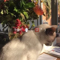 Explore and make you